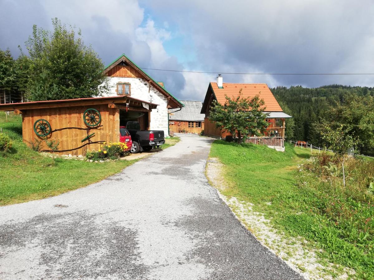 Ferienhaus Friedlhof Langschlag  Εξωτερικό φωτογραφία