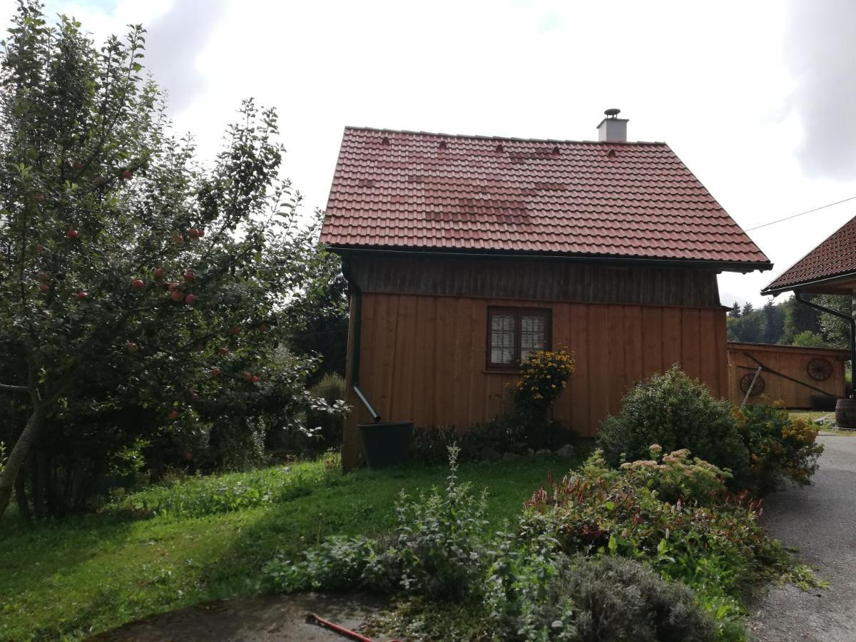 Ferienhaus Friedlhof Langschlag  Εξωτερικό φωτογραφία