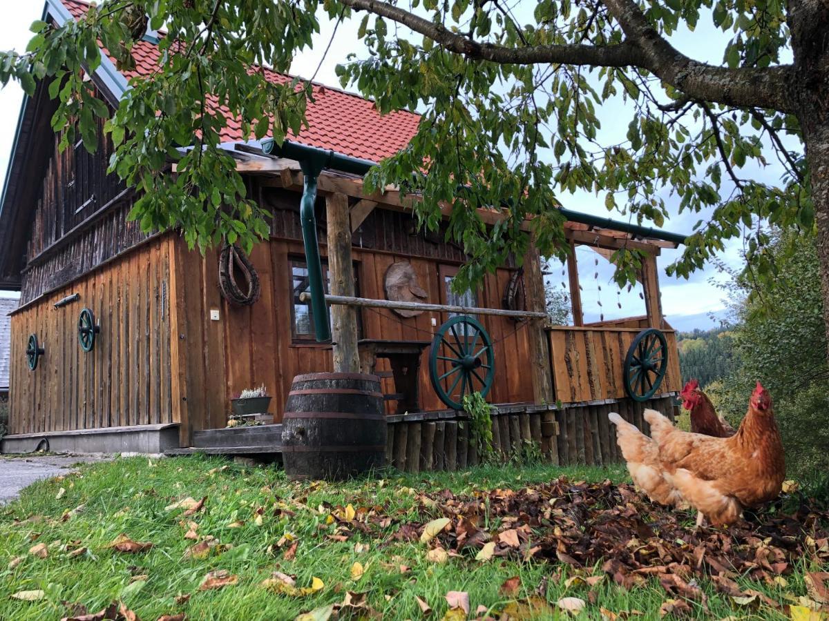 Ferienhaus Friedlhof Langschlag  Εξωτερικό φωτογραφία