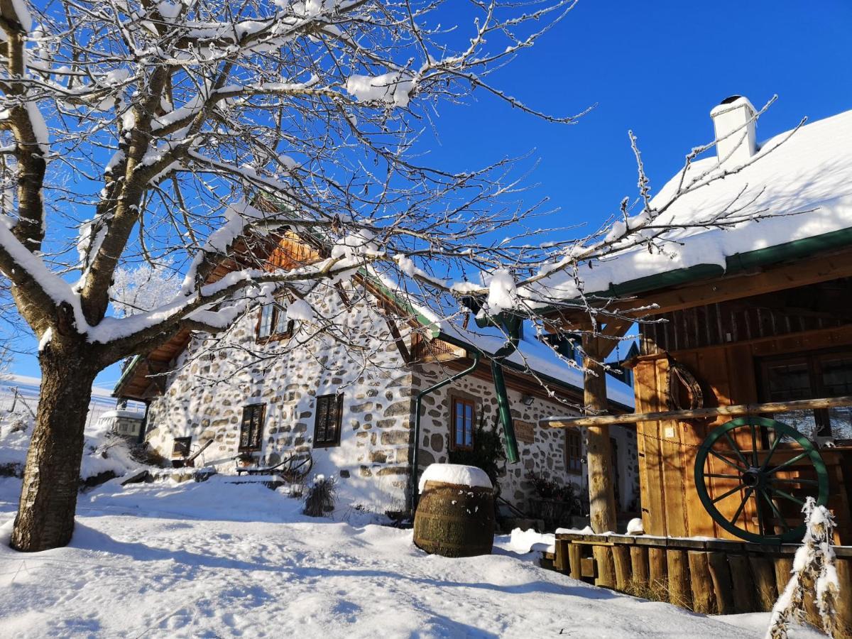 Ferienhaus Friedlhof Langschlag  Εξωτερικό φωτογραφία